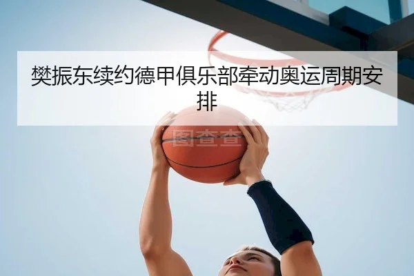 樊振东续约德甲俱乐部牵动奥运周期安排